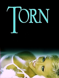 Summer Desire / Torn (2001) Joe Z. Kay