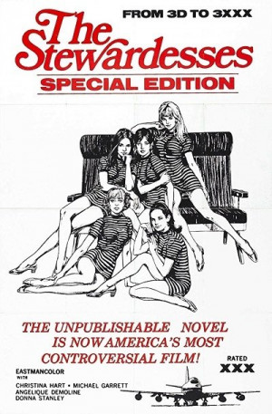 The Stewardesses (1969 720p | Allan Silliphant